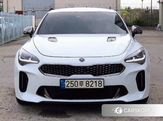Kia Stinger Meister id 3230329 из Кореи 12