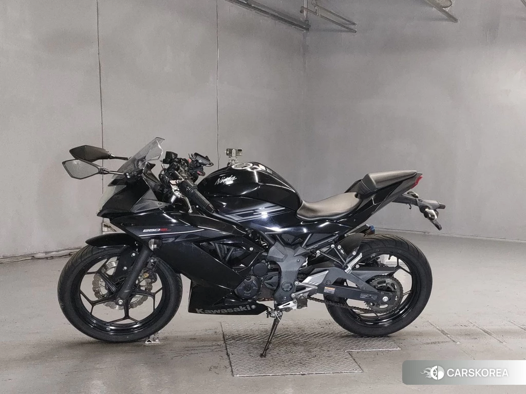 Проданный Kawasaki NINJA 250SL 2016 из Японии