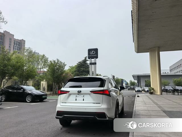 Lexus NX id 4262252 из Китая 9