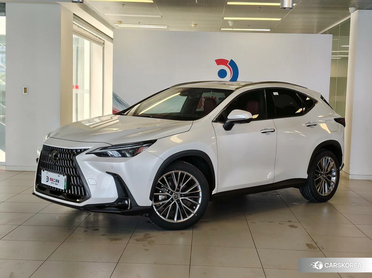 Lexus NX PHEV id 4498690 из Китая 12