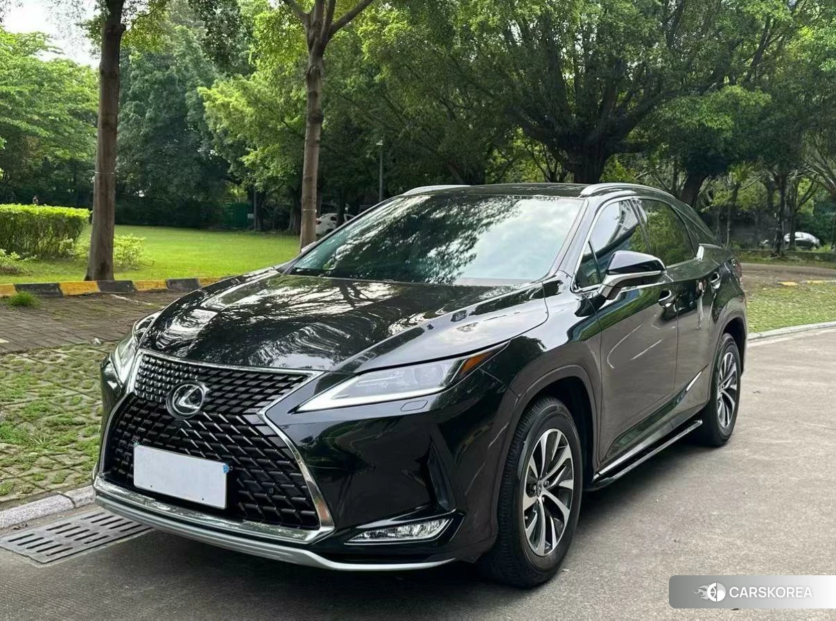 Lexus RX id 4499144 из Китая 12