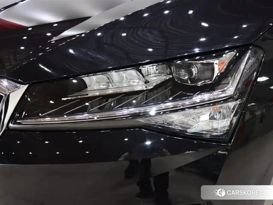Skoda Speed pie id 4515532 из Китая 12