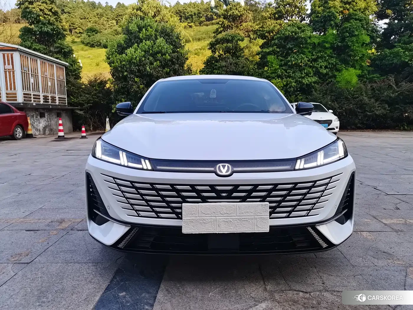 Chang'an Yidong 2025 Белый из Китая, фото 4