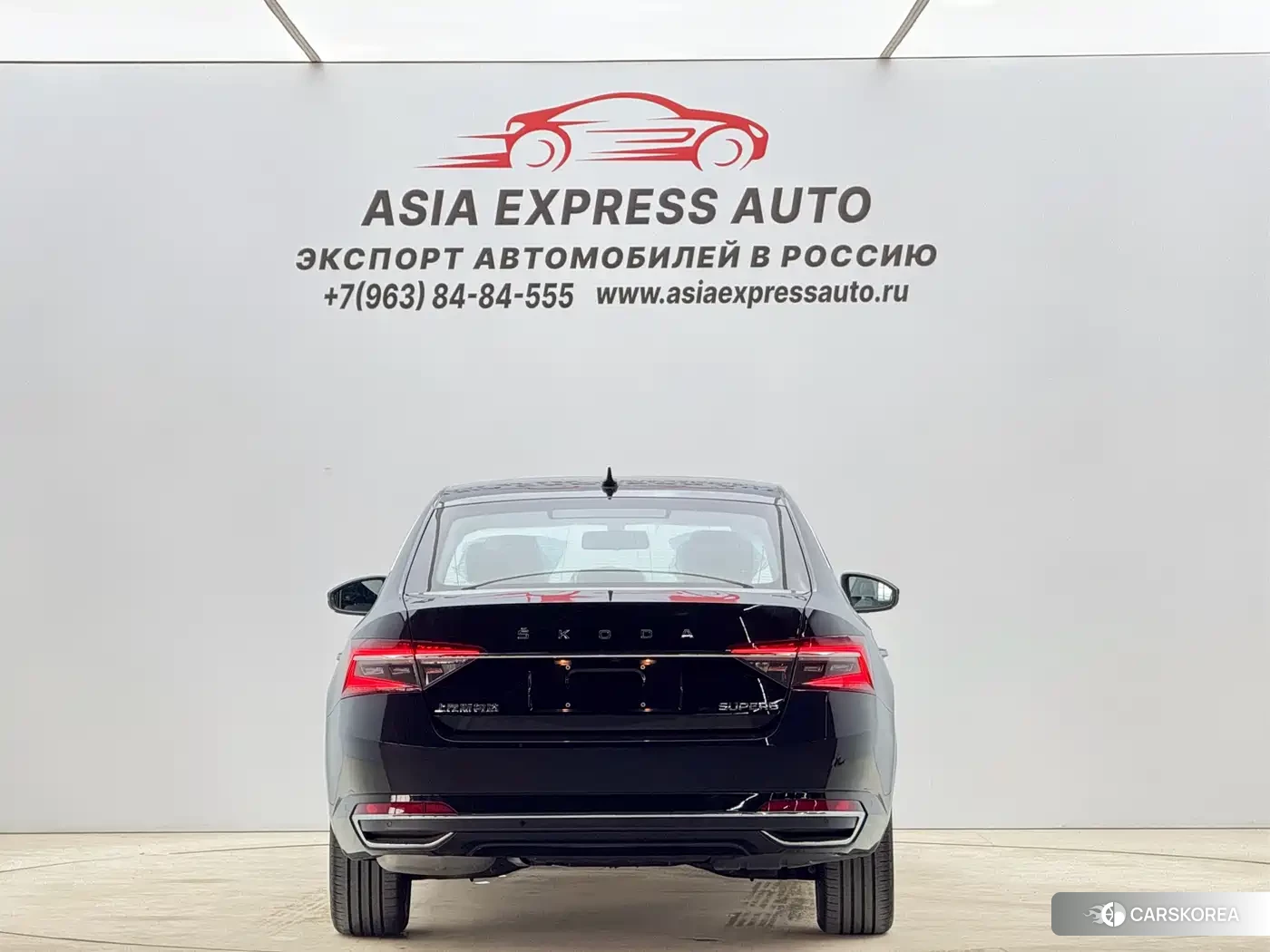 Skoda Speed pie id 4538744 из Китая 12