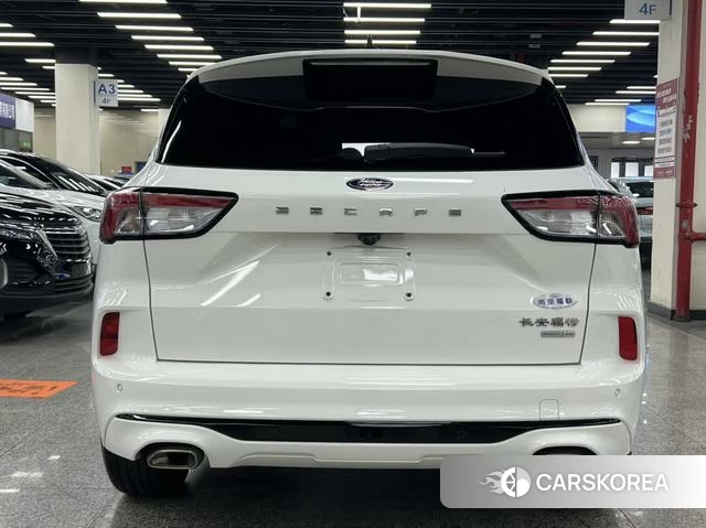 Ford Ruiji 2021 Белый из Китая, фото 6