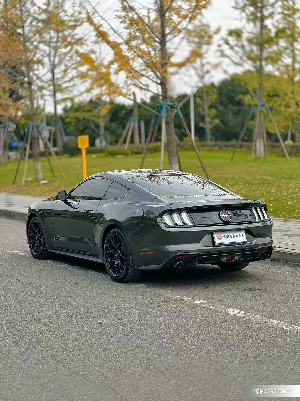 Ford Mustang 2020 Черный из Китая, фото 2