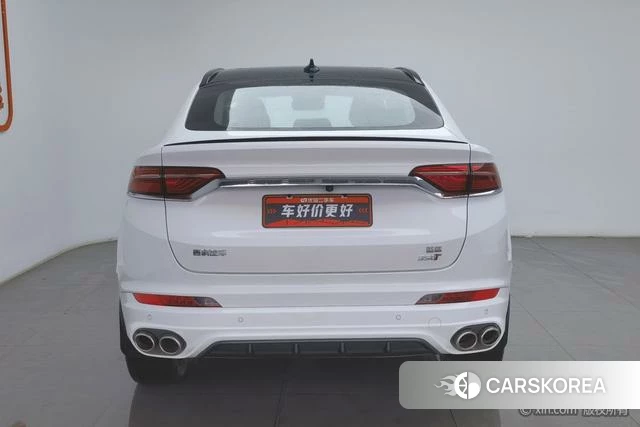 Geely Automobile Xingyue id 4236100 из Китая 12