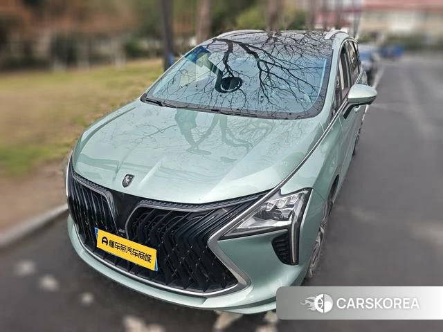 Dongfeng popular Popular yachts 2022 Зеленый из Китая, фото 2