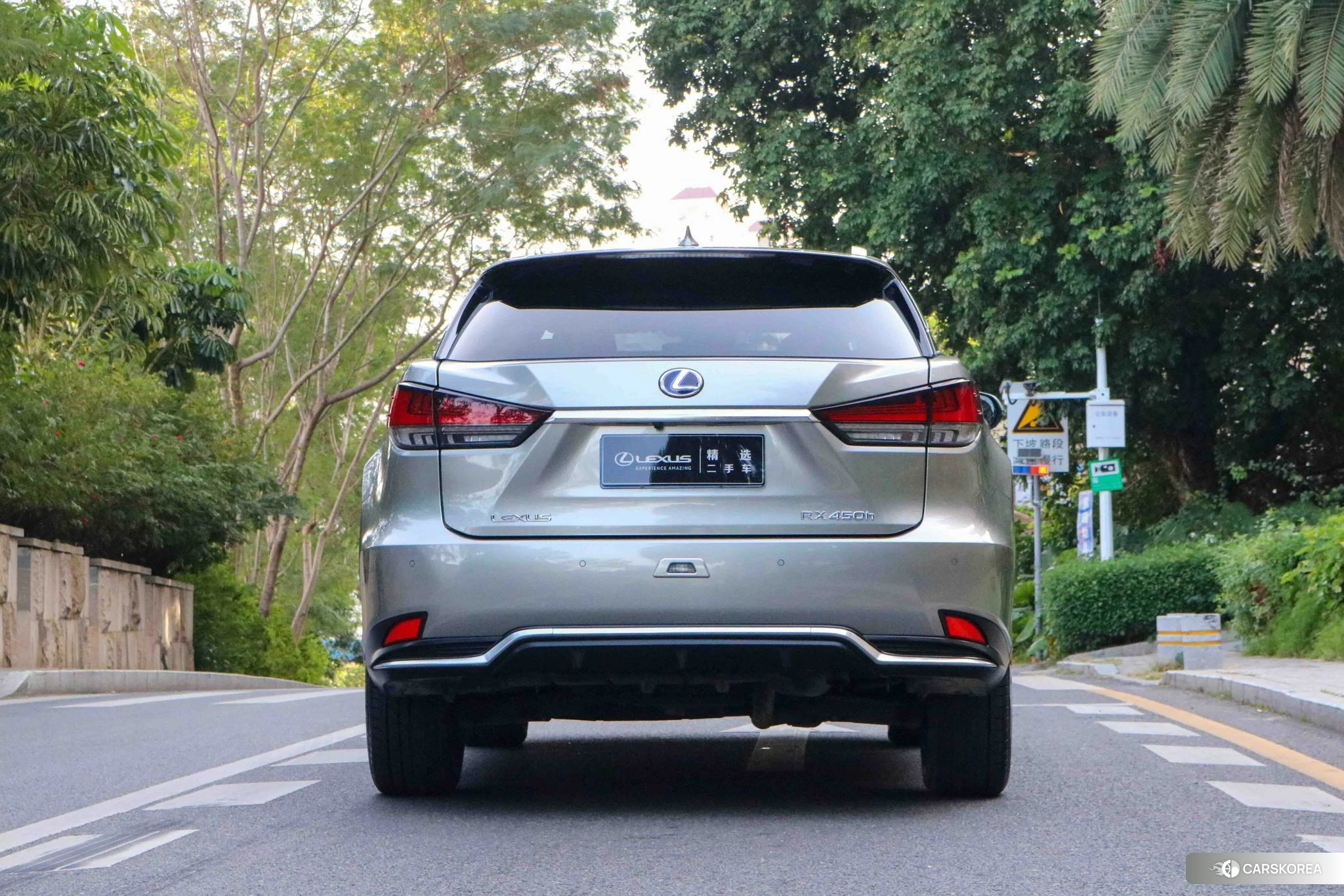 Lexus RX 2019 Серебристо-серый из Китая, фото 4