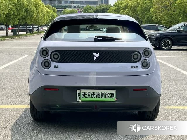 firefly firefly Unknown id 3993380 из Китая 12