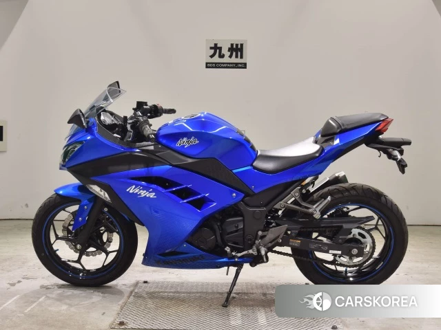 Kawasaki NINJA 250 ABS 2016 из Японии, фото 4