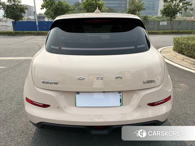 Euler Good cat id 3902216 из Китая 7