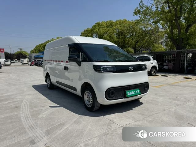 Chase Dana V1 2025 Белый из Китая, фото 2