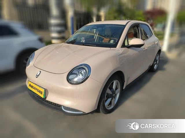 Euler Good cat 2022 Другой из Китая, фото 2