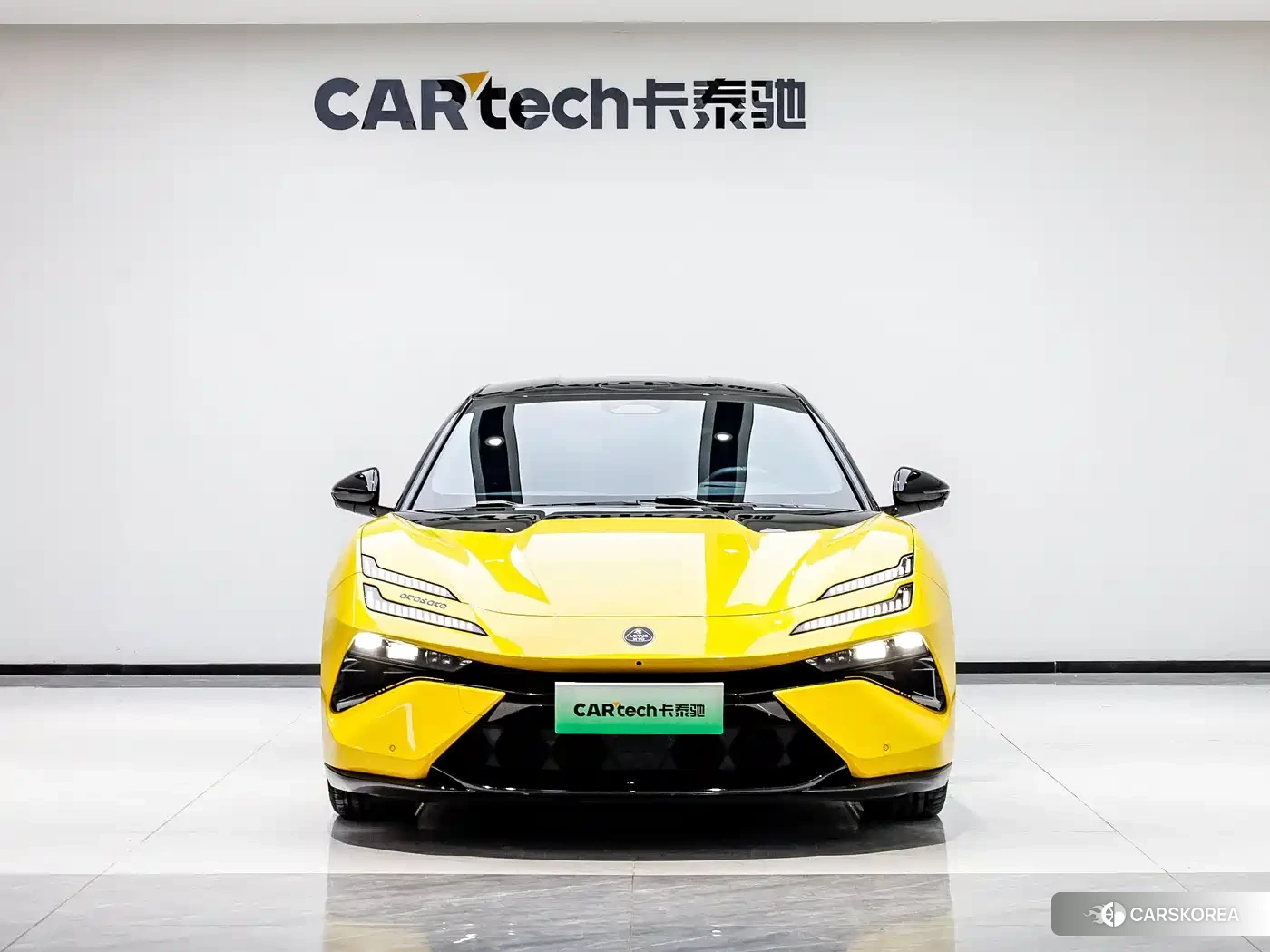 Lotus Sports Car Emeya id 4559811 из Китая 7
