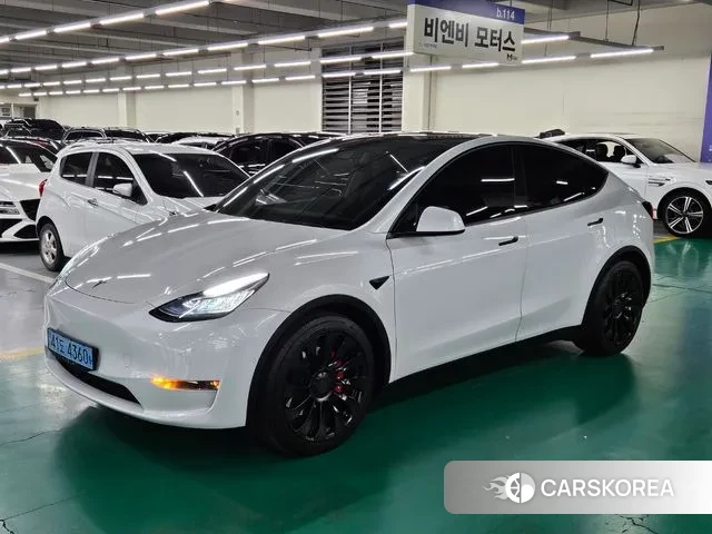 Tesla Model Y 2021 Белый из Кореи, фото 5