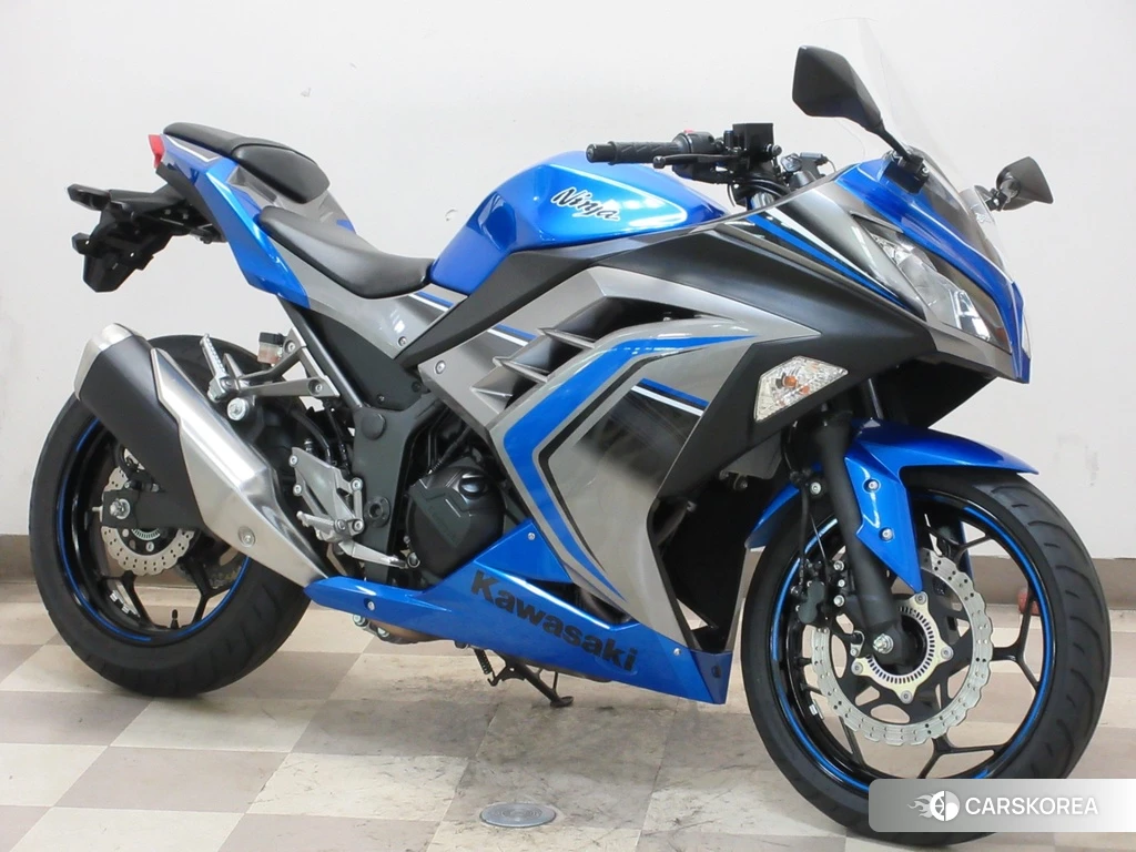 Проданный OTHER Ninja 250 ABS SE 2016 из Японии