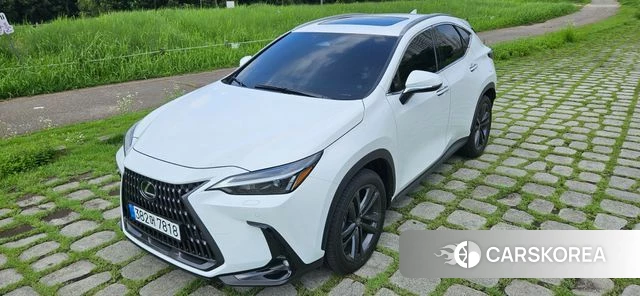 Lexus NX350h Second generation id 4629187 из Кореи 12