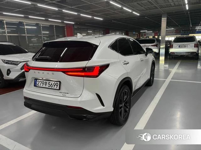 Lexus NX350h Second generation 2025 Белый из Кореи, фото 5