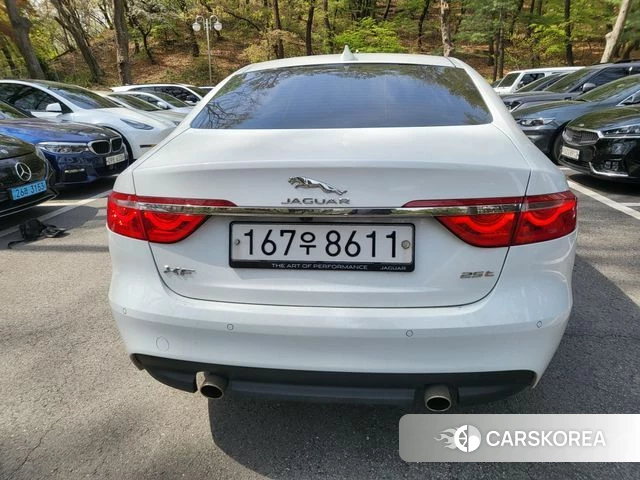 Jaguar XF (X260) 2019 Белый из Кореи, фото 3