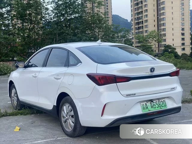 Chang'an Yidong EV 2023 Белый из Китая, фото 4