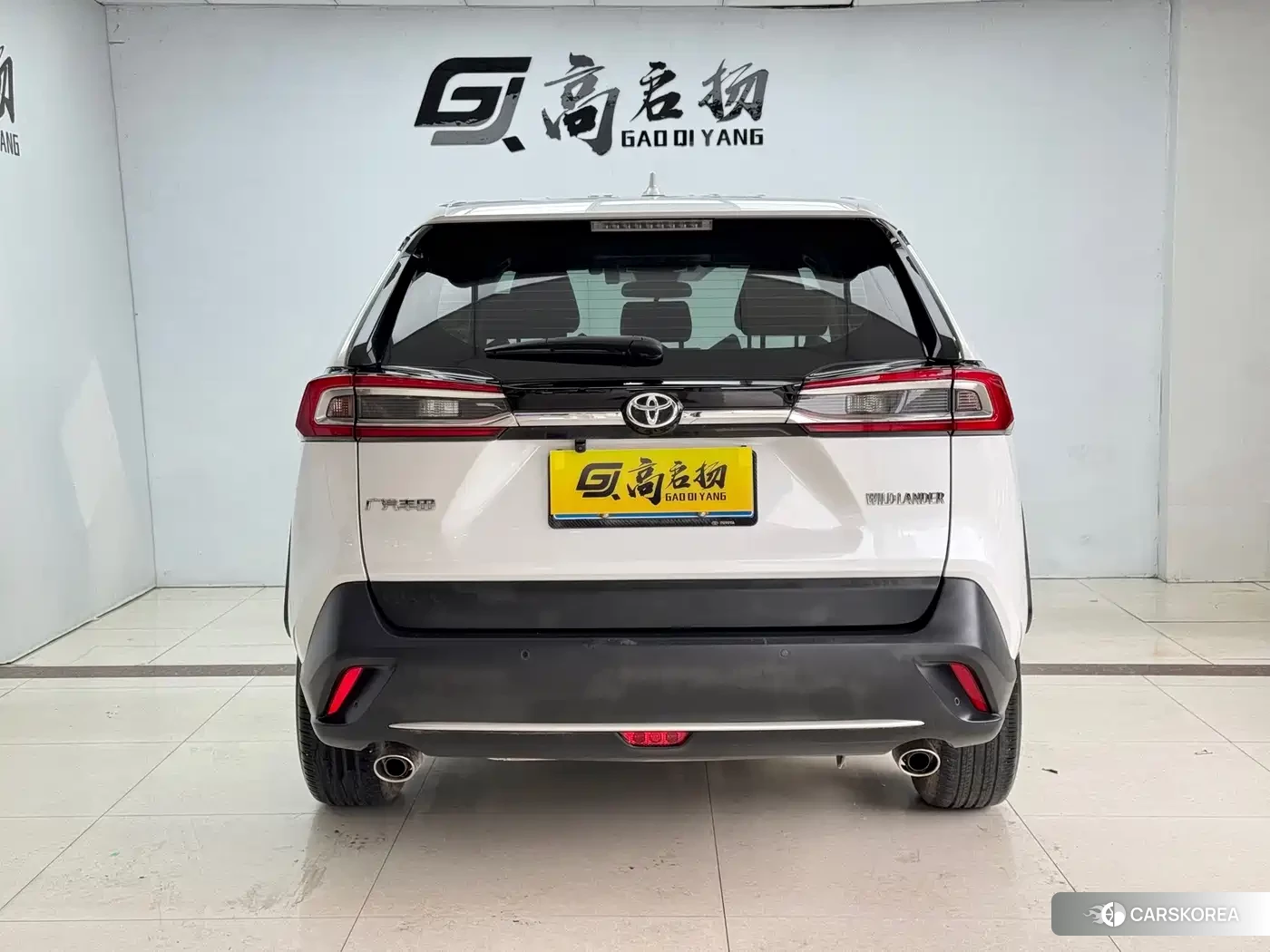 Toyota Wildlander id 4628987 из Китая 12