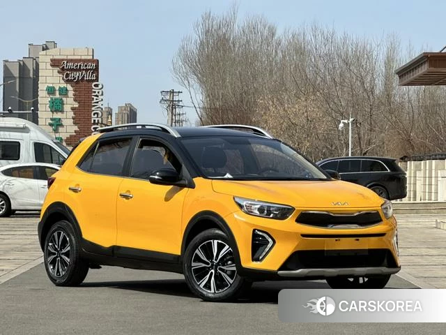 Kia Yi Ran id 4208908 из Китая 12