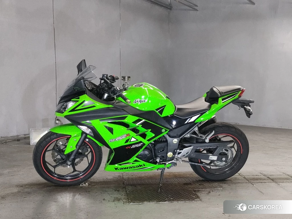 Проданный Kawasaki NINJA 250 2014 из Японии