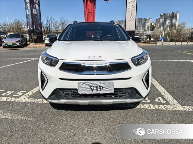 Kia Yi Ran id 4314635 из Китая 10