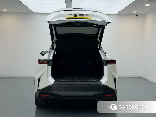 Lexus RZ id 4259766 из Китая 12