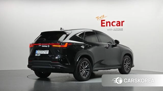 Lexus NX450h + 2nd generation id 4493562 из Кореи 12