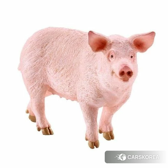 Ssangyong Rexton Sports Cannes 2020 Черный из Кореи, фото 2