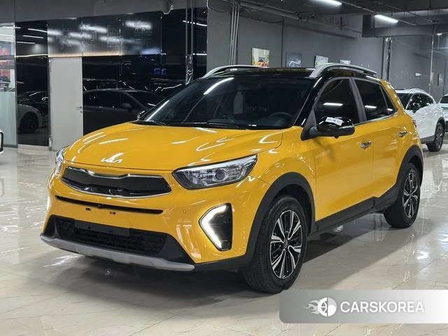 Kia Yi Ran id 4278474 из Китая 7