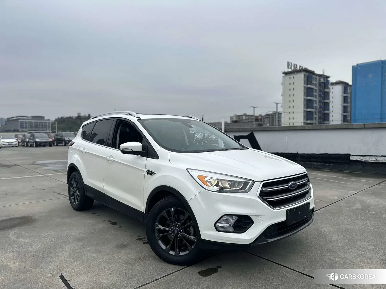 Ford Winged Tiger 2019 Белый из Китая, фото 2