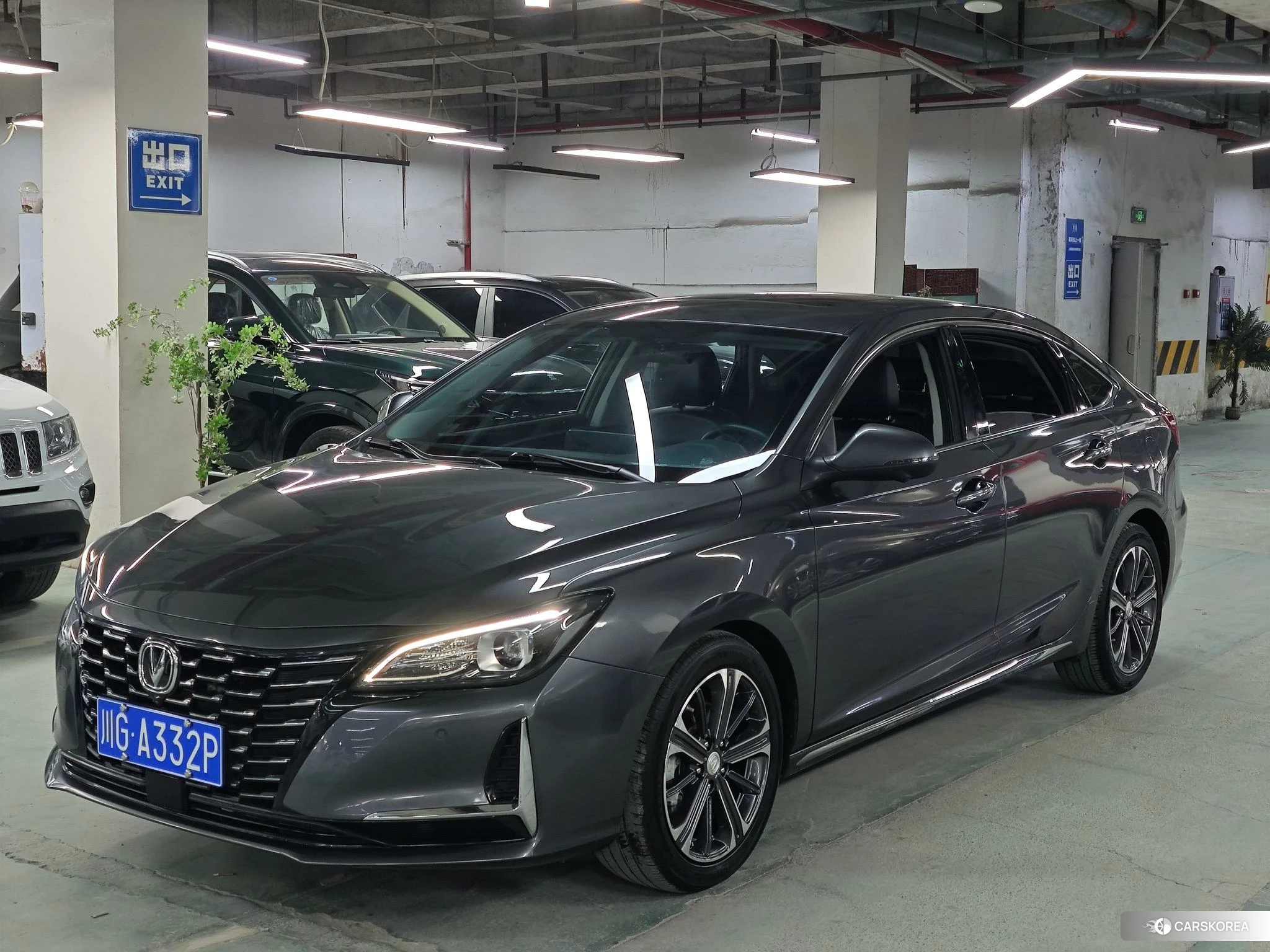 Chang'an Ruicheng CC 2021 Темно-серый из Китая, фото 4
