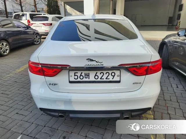 Jaguar XF (X260) 2018 Белый из Кореи, фото 4