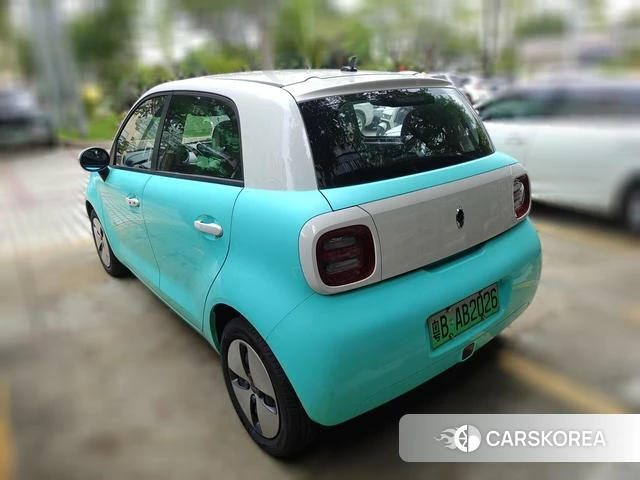 Euler Black cat 2020 Другой из Китая, фото 2