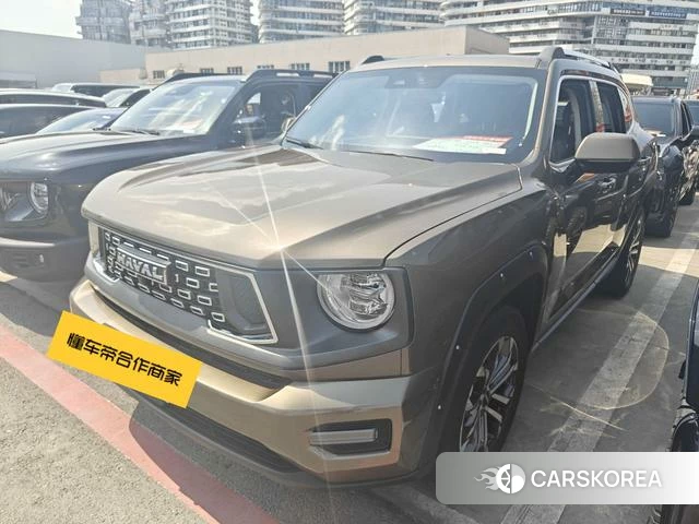 Haval Big Dog PLUS 2024 Шампань из Китая, фото 2