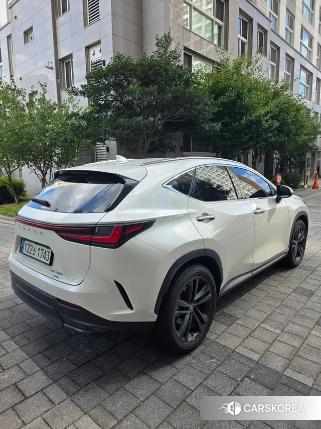 Lexus NX350h Second generation id 3288587 из Кореи 7