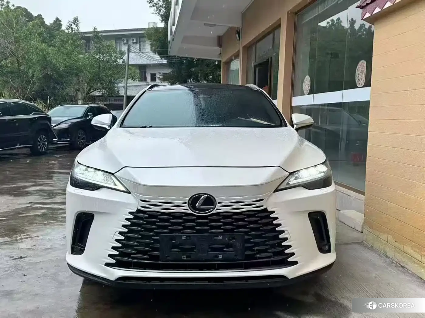 Lexus RX 2024 Белый из Китая, фото 2