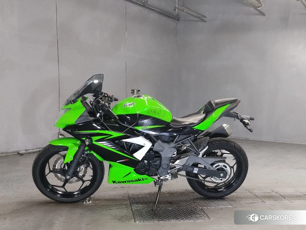 Проданный Kawasaki NINJA 250SL 2015 из Японии