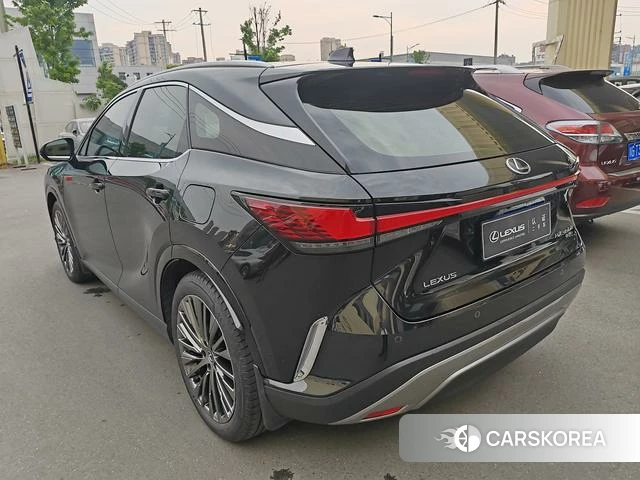 Lexus RX id 4314073 из Китая 10