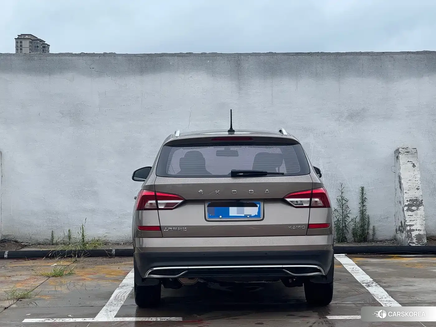 Skoda Kamiq 2022 Champagne/brown из Китая, фото 5