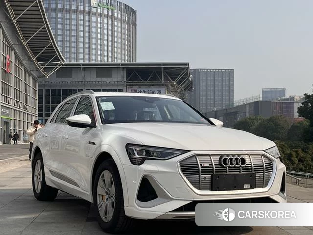Audi e-tron id 4211772 из Китая 12