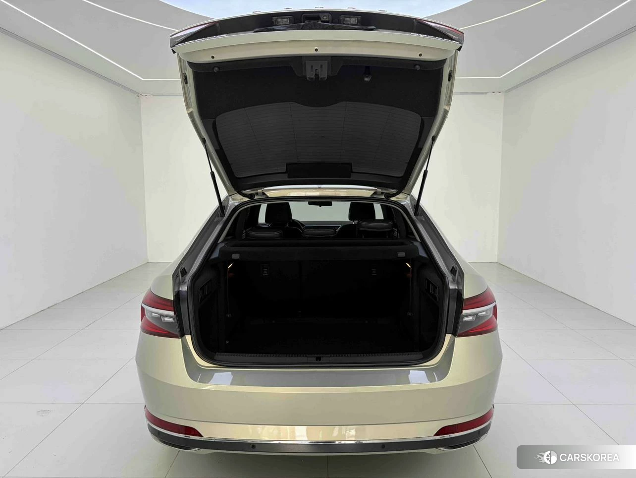 Skoda Speed pie id 4468076 из Китая 8