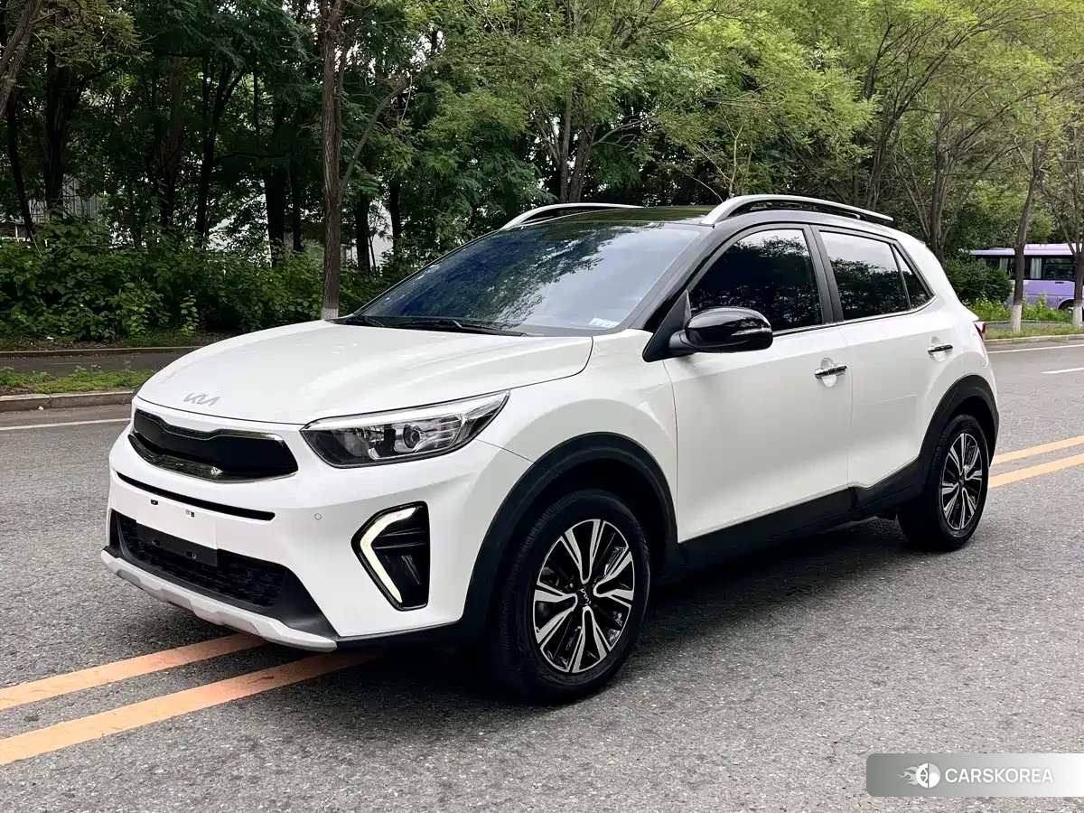 Kia Yi Ran id 4570408 из Китая 7