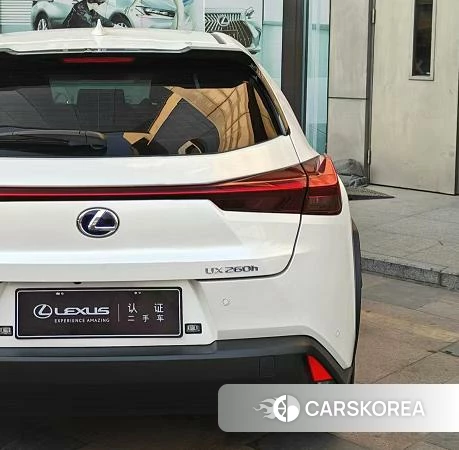 Lexus UX 2022 Белый из Китая, фото 4
