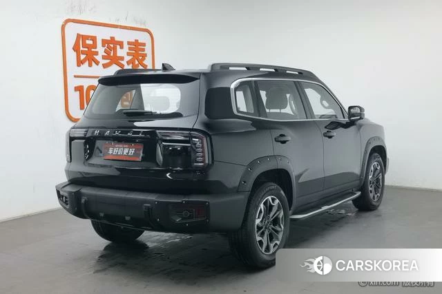 Haval Big dog id 4210520 из Китая 12
