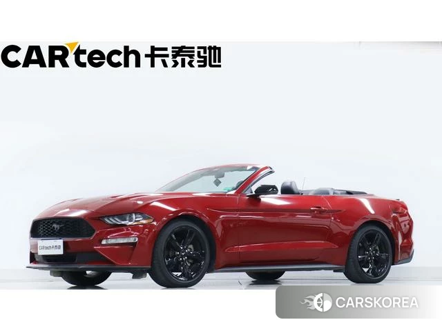 Ford Mustang id 3890508 из Китая 12