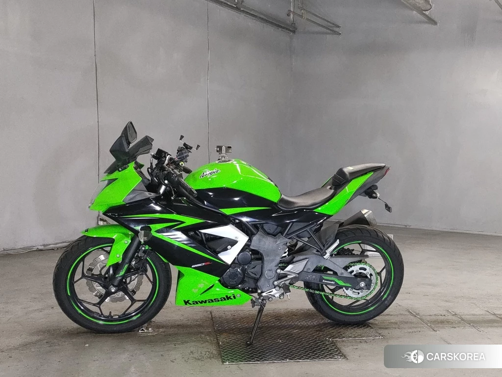 Проданный Kawasaki NINJA 250SL 2015 из Японии
